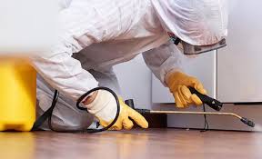 Best Real Estate Pest Inspections  in Church Point, LA